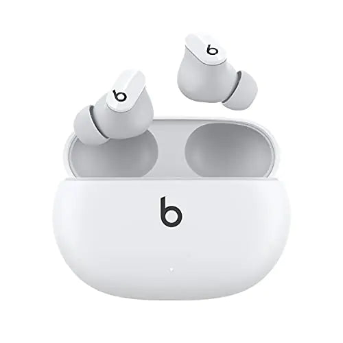 True Wireless Noise Cancelling Earbuds Grab-A-Gadget